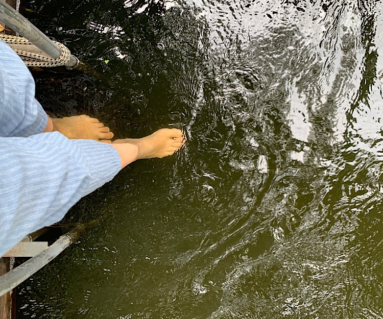 Füße in Flusswasser